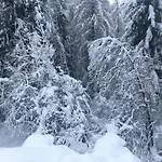 Oetztalpin *