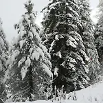 Oetztalpin 公寓 朗根费尔德