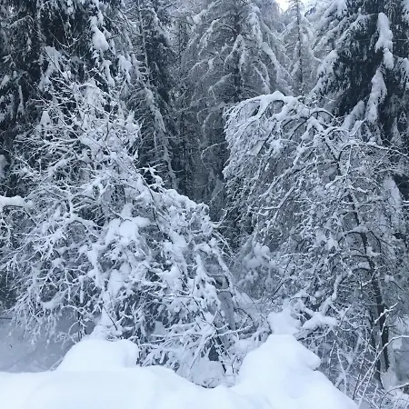 Oetztalpin *