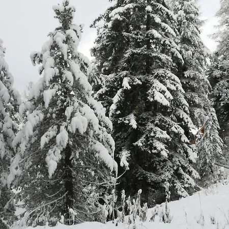 Oetztalpin 公寓 朗根费尔德