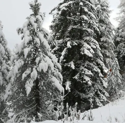 Oetztalpin Lejlighed Längenfeld
